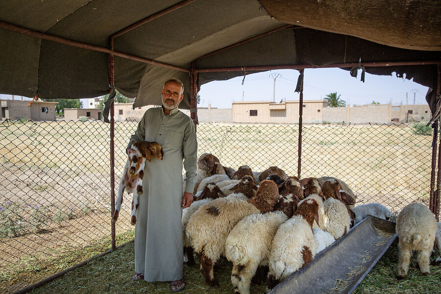 Wracked by drought, postwar Syria struggles to restore its agriculture