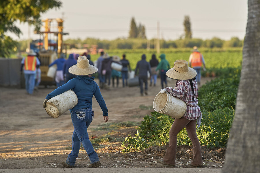 Amid immigration enforcement, migrant farmworkers’ numbers are falling