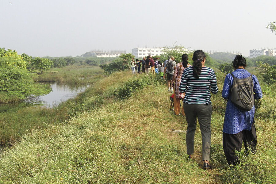 ‘The land matters’: An Indian scientist awakens a forgotten marsh