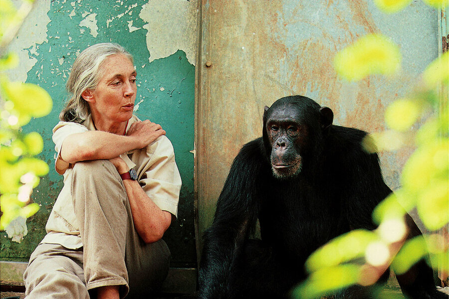 Jane Goodall gave us a new view on all life