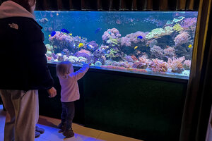 “Aquarium of Amazing Fishes” in Kramatorsk, Ukraine, allows visitors to dream of worlds beyond a war that has made their city a battle zone.