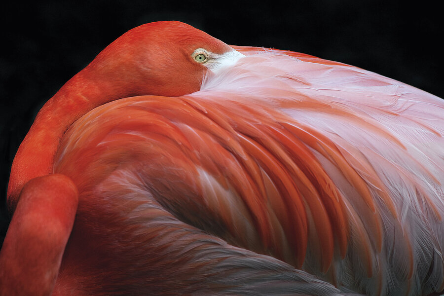 Birds, butterflies, botanicals, and coastal wonders