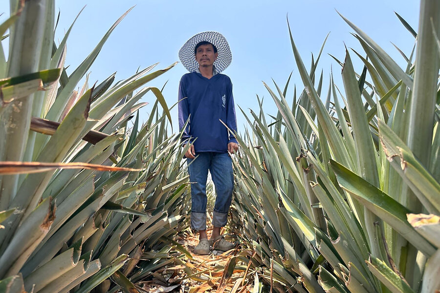 Iran war reaches into Asia&rsquo;s farmlands &ndash; and everyone&rsquo;s grocery bills