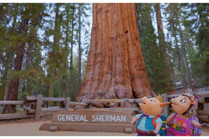 Ronald and Roxy are a piglet and a hedgehog who meet in Sequoia National Park, in a new kids TV show about the wonder and history of nature in America.