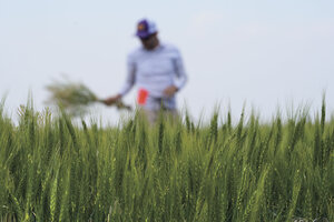 csmonitor.com - Story Hinckley - Why the latest farm bill matters, from SNAP benefits to crop insurance