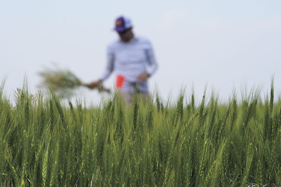 Why the latest farm bill matters, from SNAP benefits to crop insurance