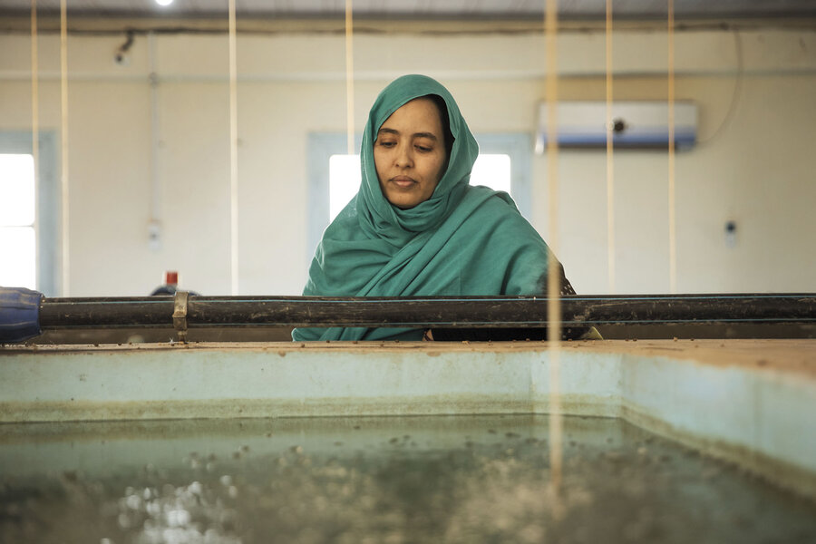 A fish farm in Algeria is bringing the sea’s bounty to the Sahara