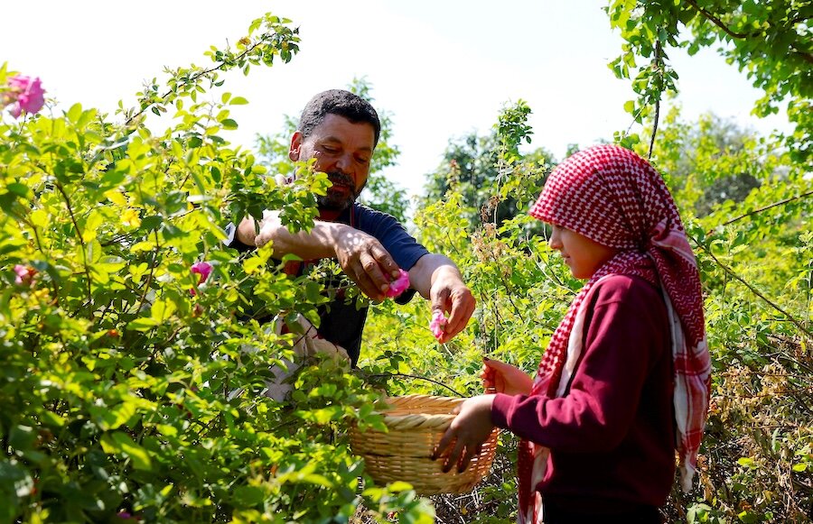 In Syria, hope continues to bloom