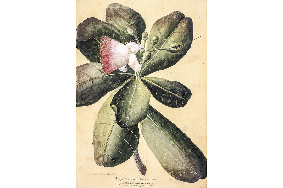 An early naturalist who cast off the ‘chains of prejudice’