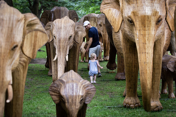 Elephants in your midst: In Boston, an art exhibit tells the story of an Indian herdBy Goodluck Ajeh / 4 min