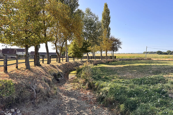 As river levels fall during drought, Europeans reflect on their connection to waterwaysBy Colette Davidson, Dominique...
