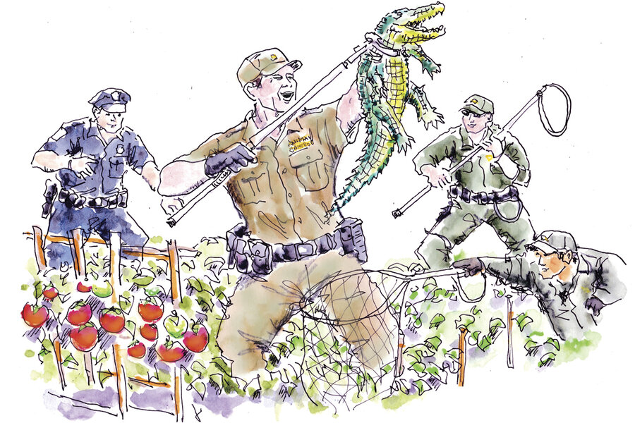 Gators invade the suburbs