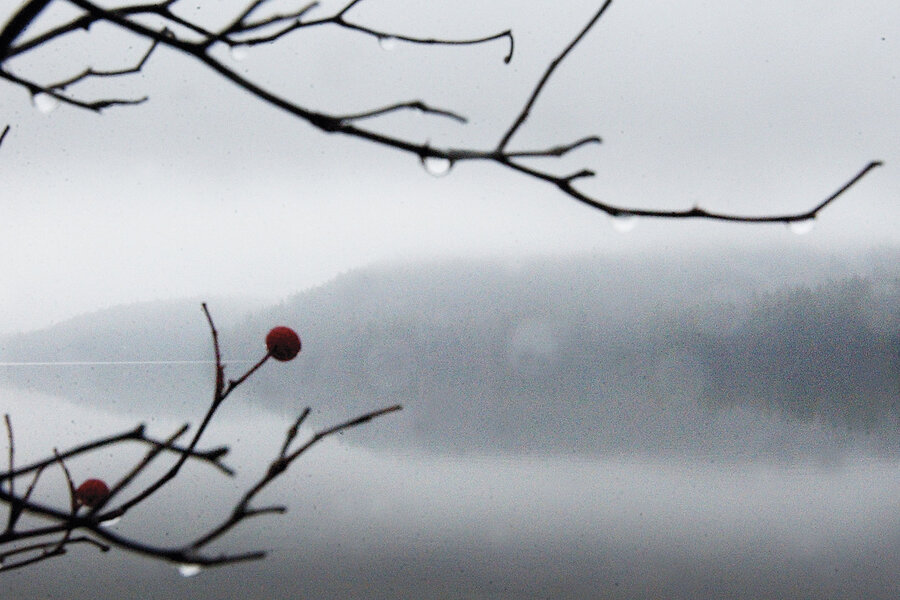 A walk in the rain