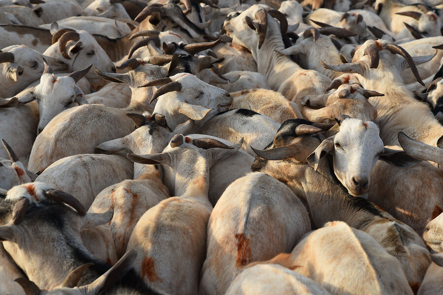 Why Israeli recognition has been a double-edged sword for Somaliland ...