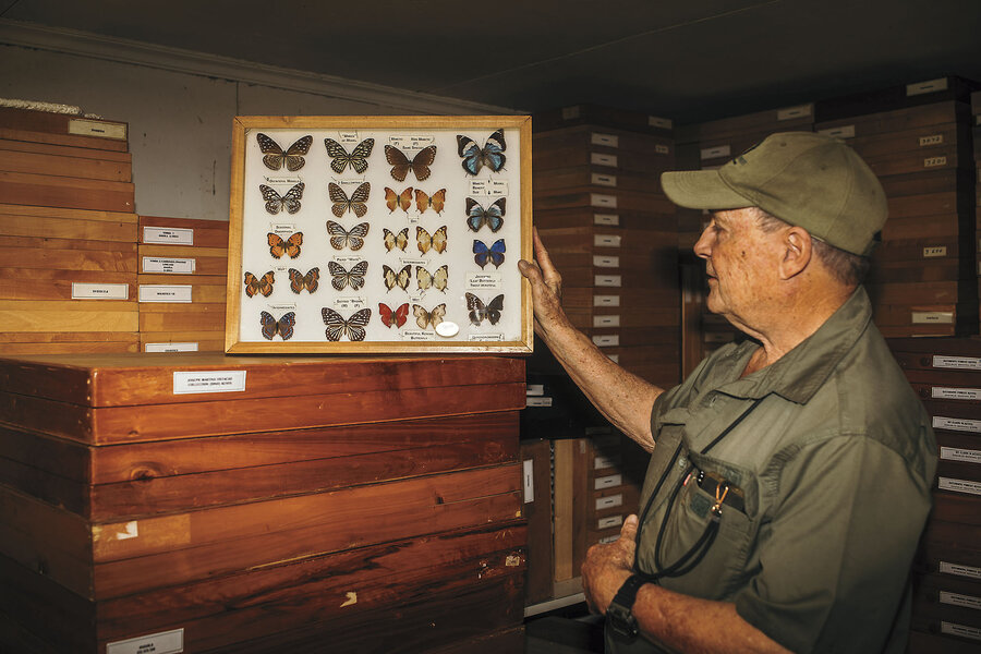 The butterfly monarch: A Kenyan lepidopterist’s collection archives a kingdom