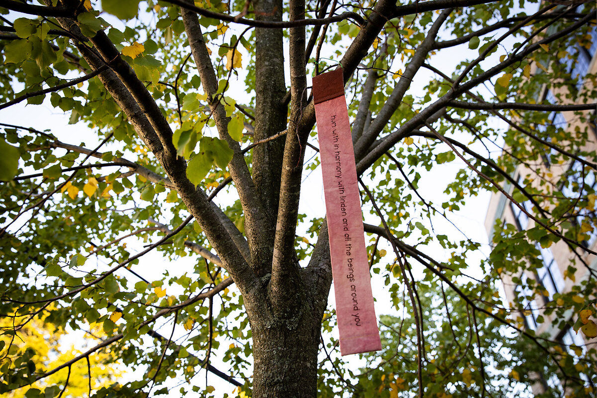 Play Ink Link In Boston, an artist invites neighbors to speak for the trees ...