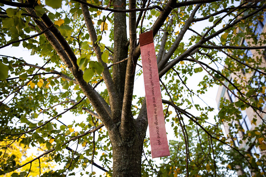 In Boston, an artist invites neighbors to speak for the trees
