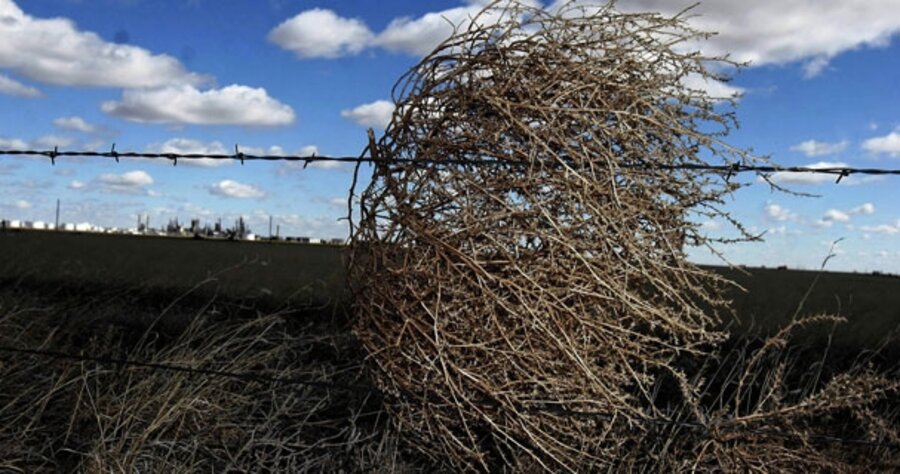 Why Do Tumbleweeds Tumble?