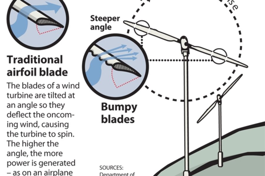 Loop Wing Windmill Whale flipper windmill - CSMonitor.com