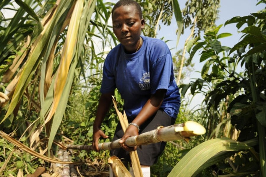 Uganda: How a teenage sugar cane farmer lifted her family out of ...