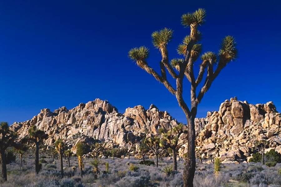 How climate change may be threatening national parks - CSMonitor.com