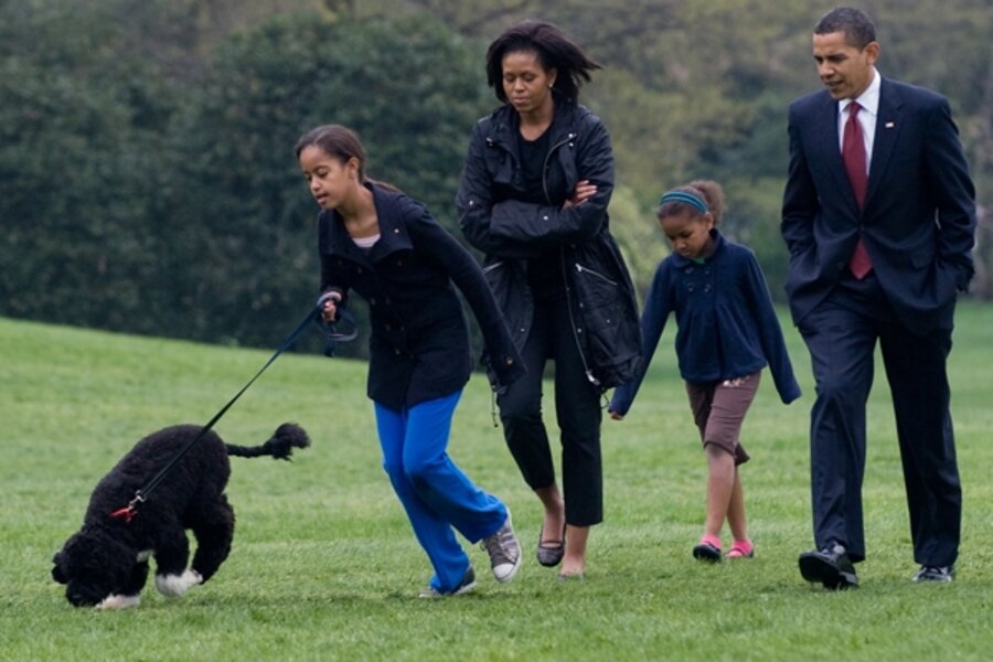 Obama's dog Bo arrives at White House - chaos erupts - CSMonitor.com