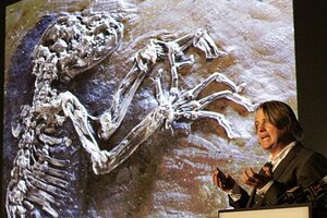 Paleontologist as rock star: How one tiny fossil sparked a media circus -  CSMonitor.com
