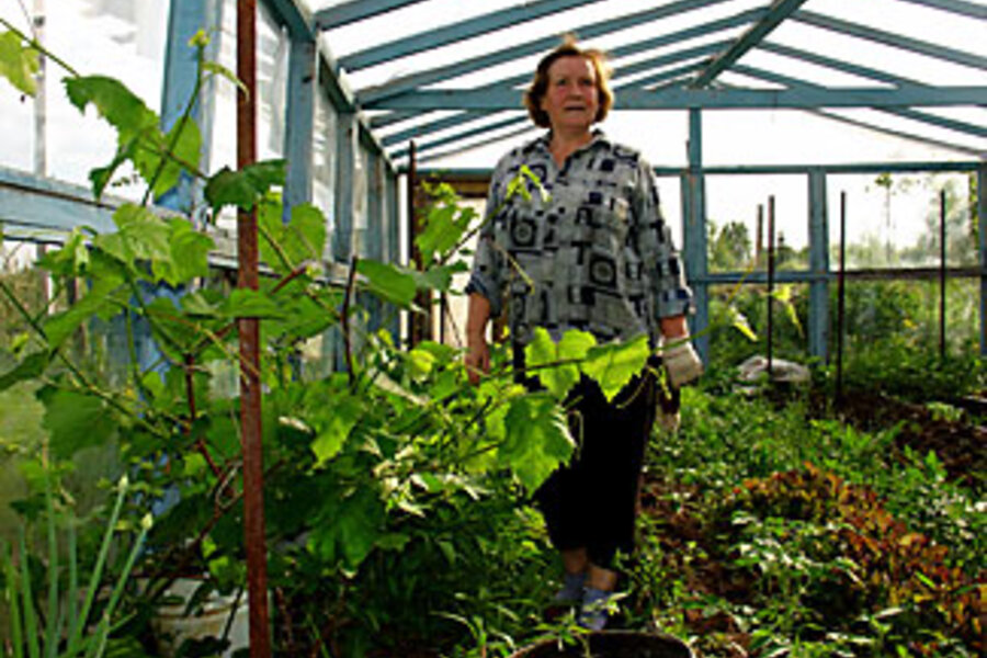 Russia's dacha gardens feed body and soul - CSMonitor.com