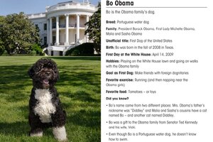 what kind of dog did the obamas have