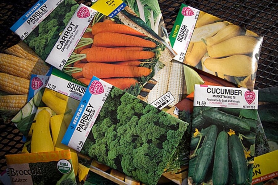 Seed sales spring up