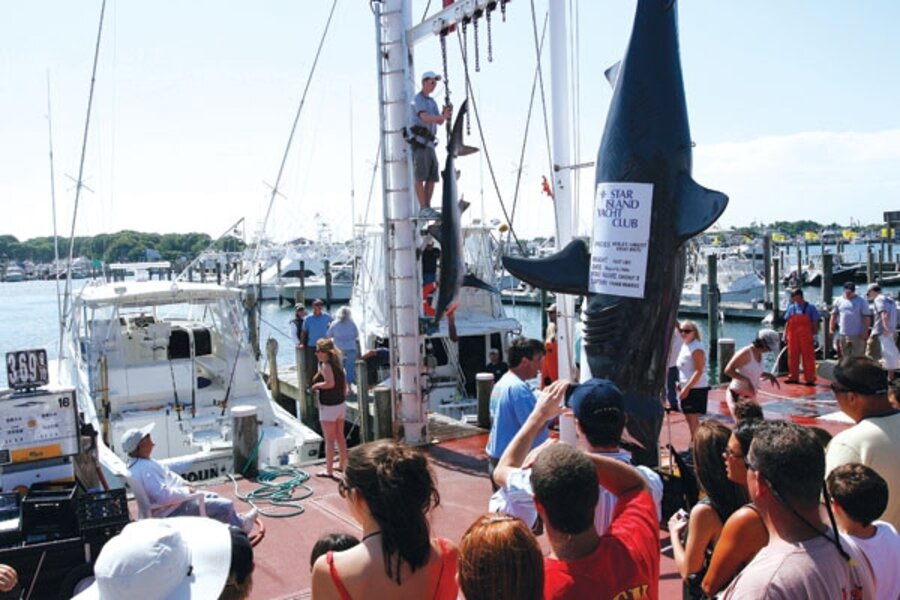 Shark- fishing contests raise controversy - CSMonitor.com