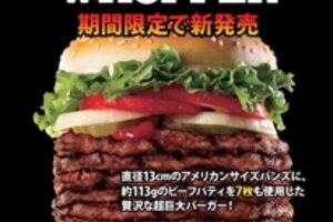 Only in Japan: The Burger King Windows 7 Whopper - CSMonitor.com