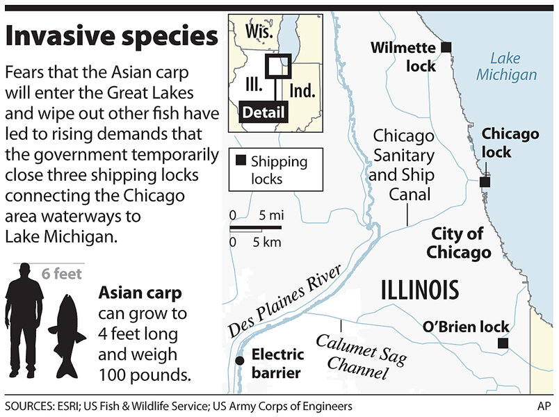 Lake Michigan Provides “Unnaturally” Good Fishing Every Year