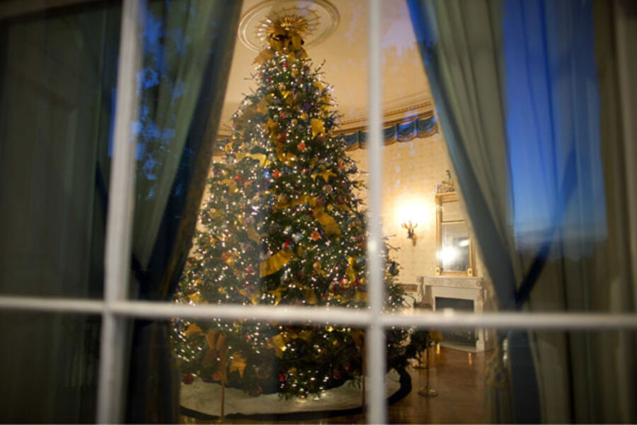 Coming soon a Christmas tree that won't shed its needles