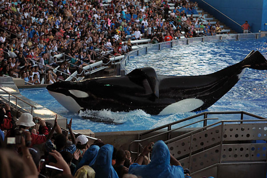 SeaWorld 'killer whale' incident gives parents pause - CSMonitor.com