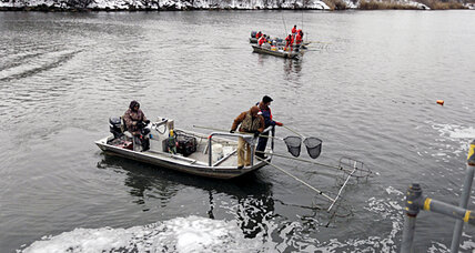 Best of Michigan supreme court asian carp supreme carp asian Michigan court