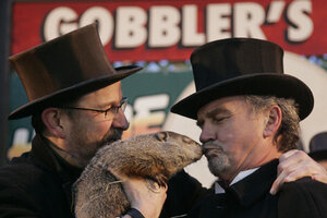 groundhog day accuracy stats