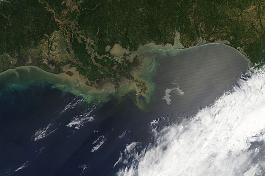 spill oil gulf coast clean louisiana deepwater horizon caution bioremediation cleaning required fragile aftermath lab csmonitor observatory nasa earth