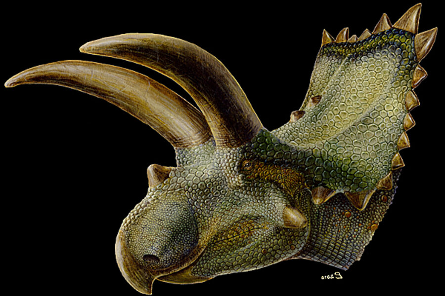 Rhinoceros-sized dinosaur had horns the size of baseball bats - CSMonitor.com
