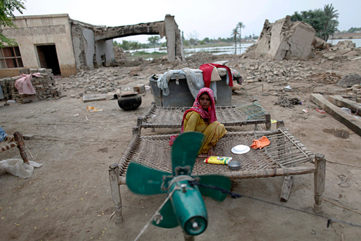 Pakistan floods wipe out more than 1 million animals – and farmers'  livelihoods - CSMonitor.com