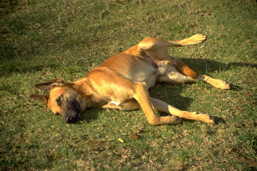 The closer you are to the ground, the slower time moves