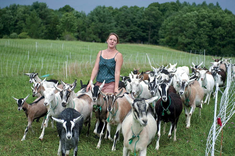 A Taste of Place Exploring the Vermont Cheese Trail