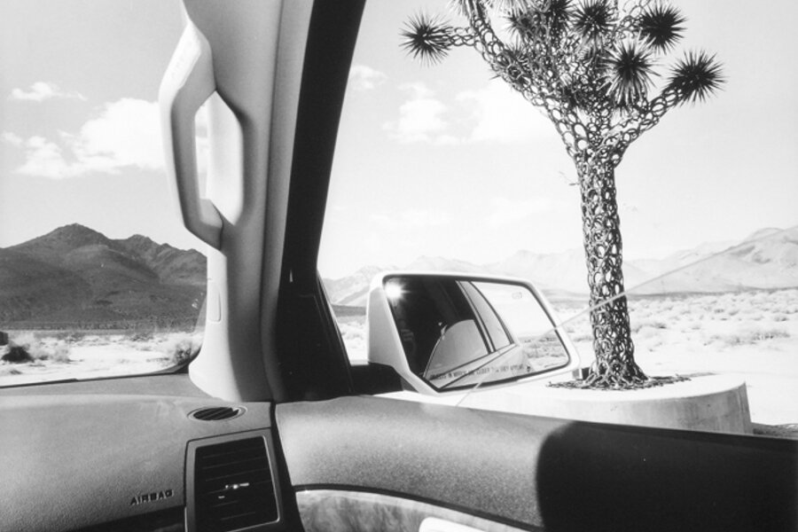 Riding shotgun: Lee Friedlander photographs from the car 