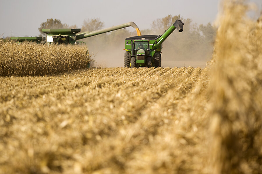 'Shocking' corn prices: the other rising gold market - CSMonitor.com