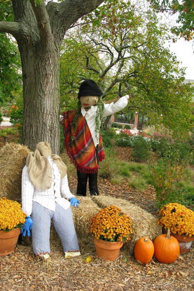 Fall yard decorating: Scarecrows, pumpkins, and mums, oh my ...