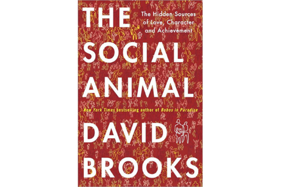 The Social Animal 