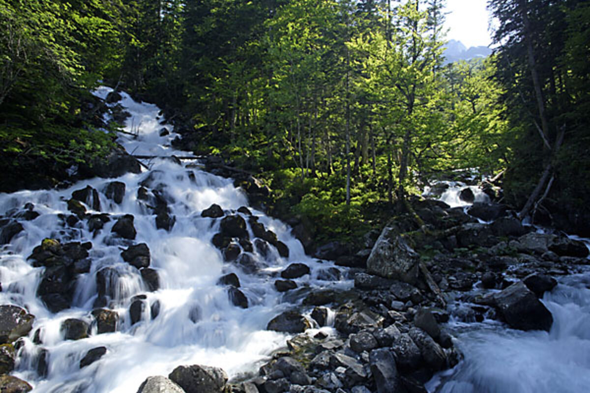 Build a passive income stream, keep the money flowing in ...