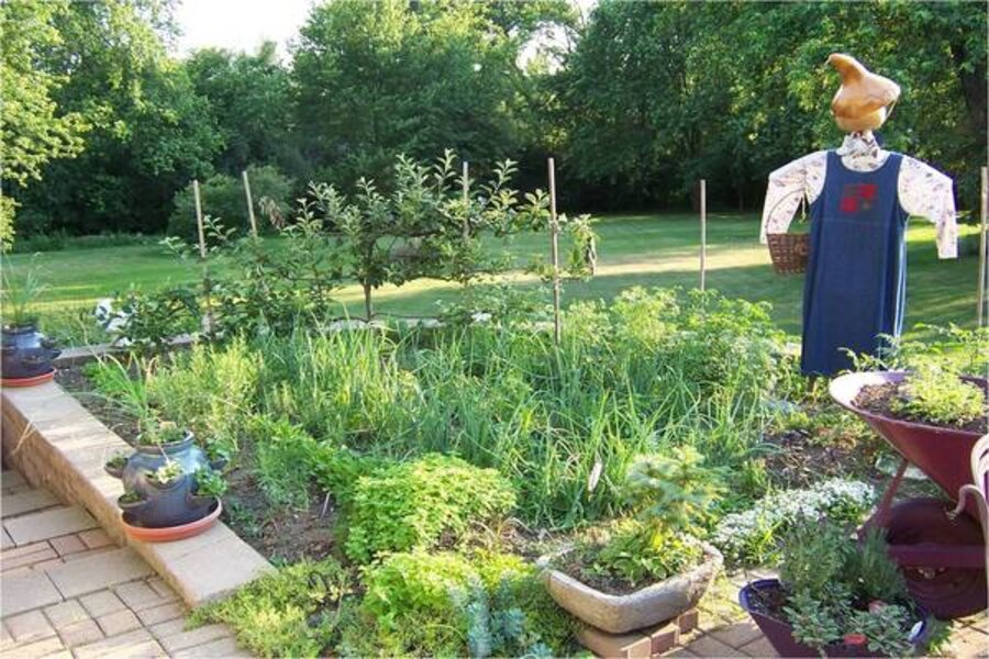 Eight keys to growing great vegetables - CSMonitor.com