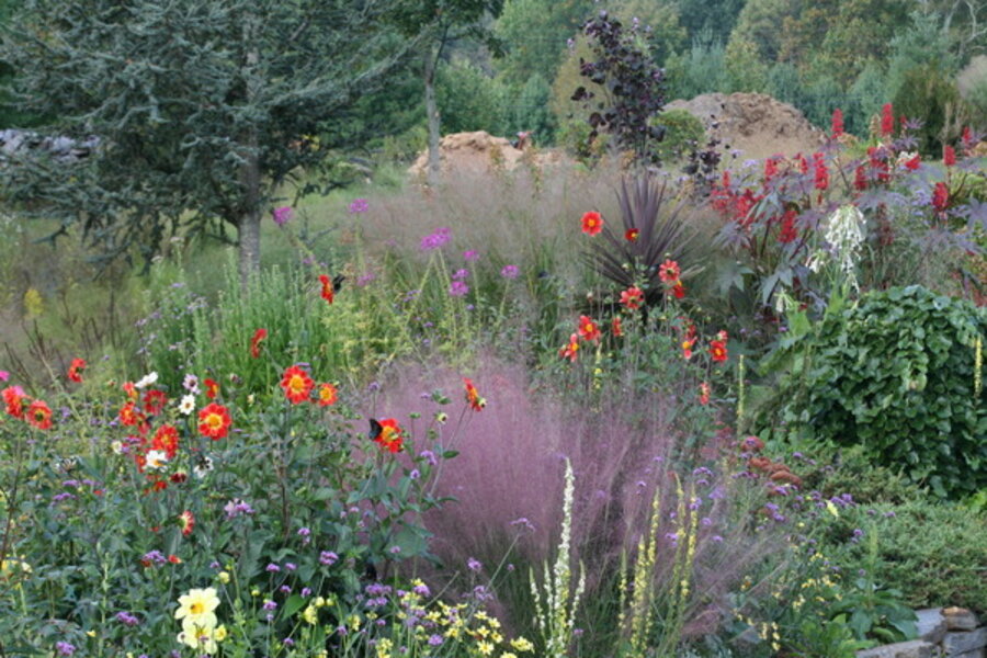 Break with tradition: Have a pink and red fall garden. - CSMonitor.com