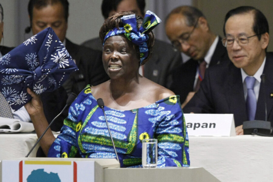 Wangari Maathai Her Activism Saved Forests Promoted Peace - 
